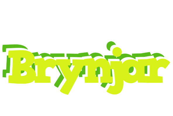 Brynjar citrus logo