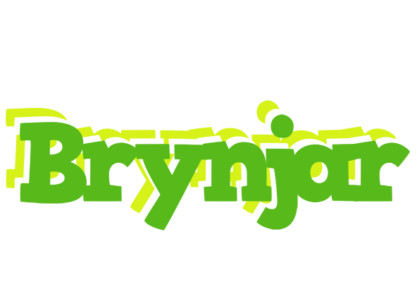Brynjar picnic logo