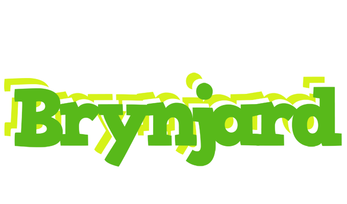 Brynjard picnic logo