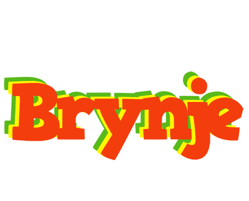 Brynje bbq logo
