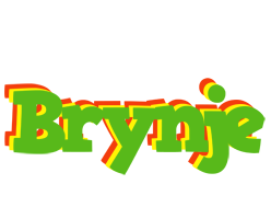 Brynje crocodile logo