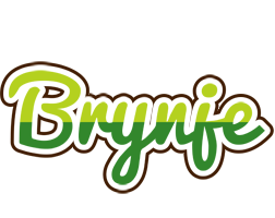 Brynje golfing logo