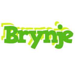 Brynje picnic logo