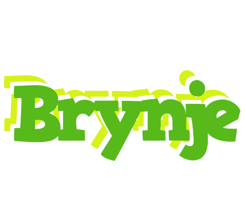 Brynje picnic logo