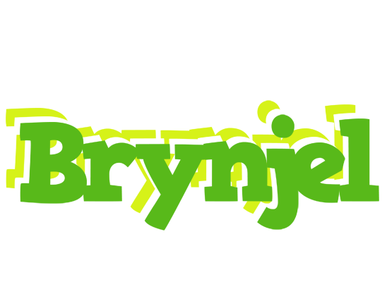 Brynjel picnic logo