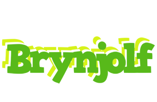 Brynjolf picnic logo