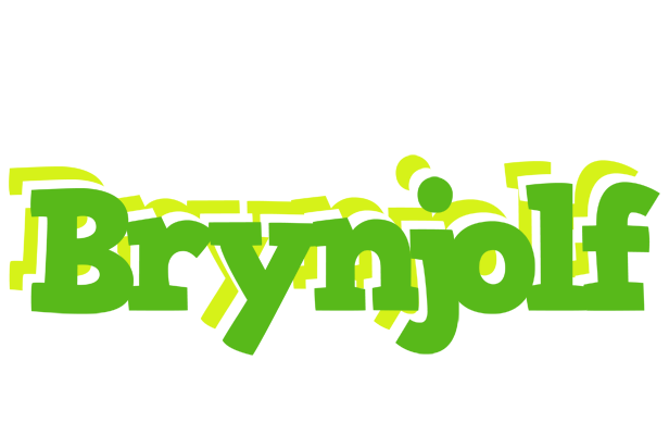 Brynjolf picnic logo