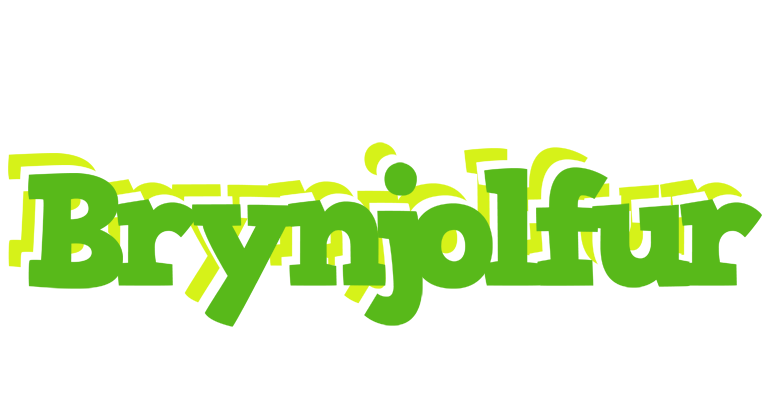 Brynjolfur picnic logo