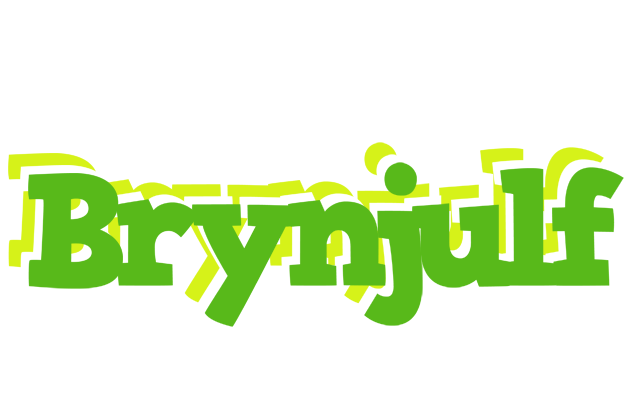Brynjulf picnic logo
