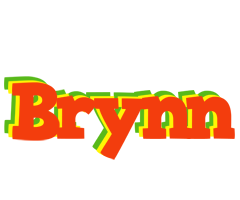 Brynn bbq logo