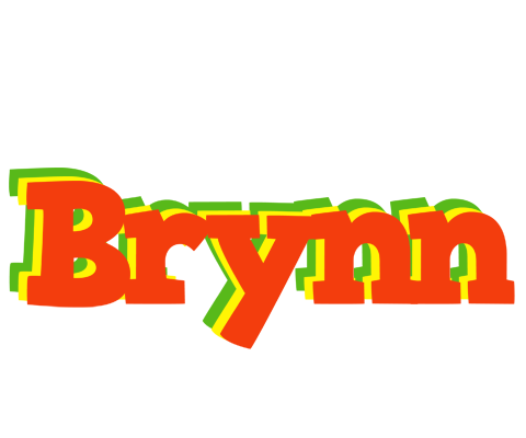 Brynn bbq logo
