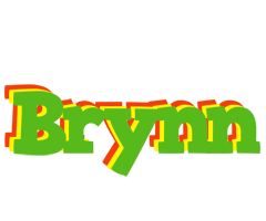 Brynn crocodile logo