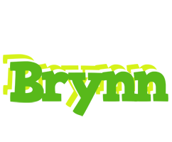 Brynn picnic logo