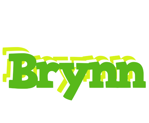 Brynn picnic logo