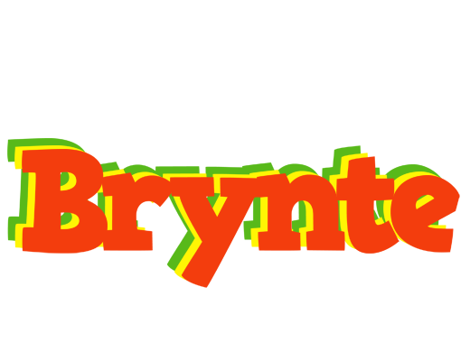 Brynte bbq logo
