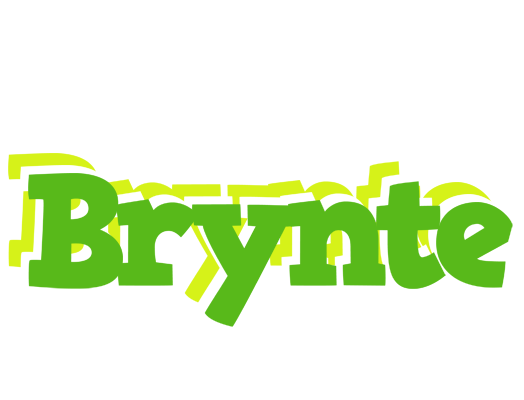 Brynte picnic logo