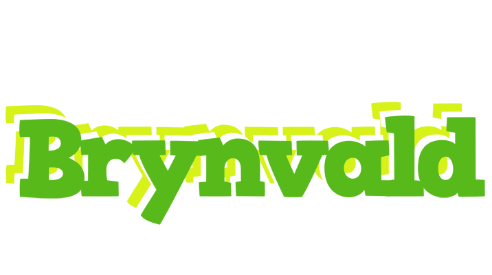 Brynvald picnic logo