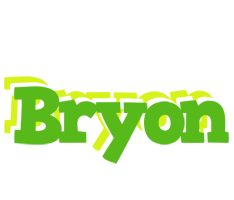 Bryon picnic logo