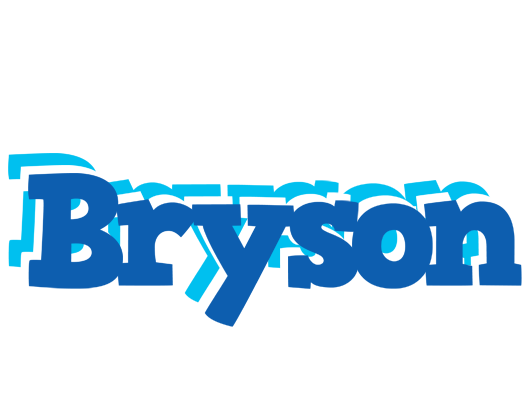 Bryson business logo