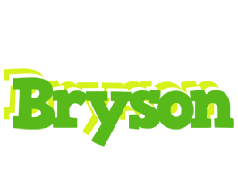 Bryson picnic logo