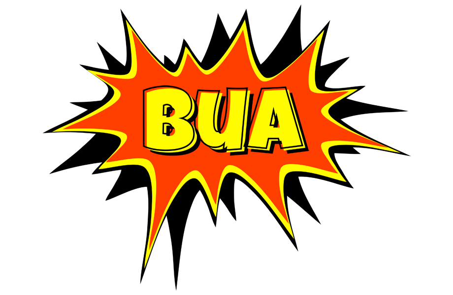 Bua bazinga logo