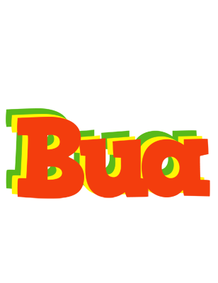 Bua bbq logo
