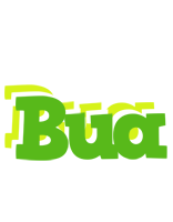 Bua picnic logo