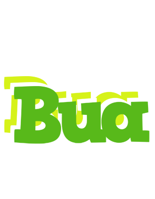 Bua picnic logo