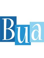 Bua winter logo