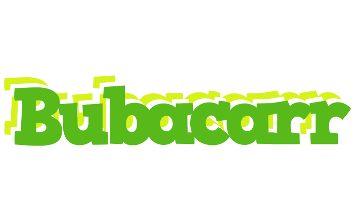 Bubacarr picnic logo