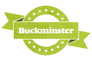 Buckminster change logo