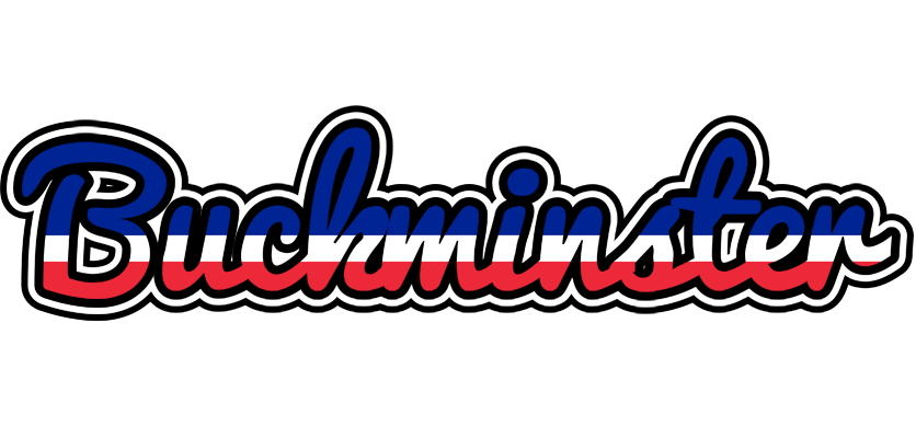 Buckminster france logo