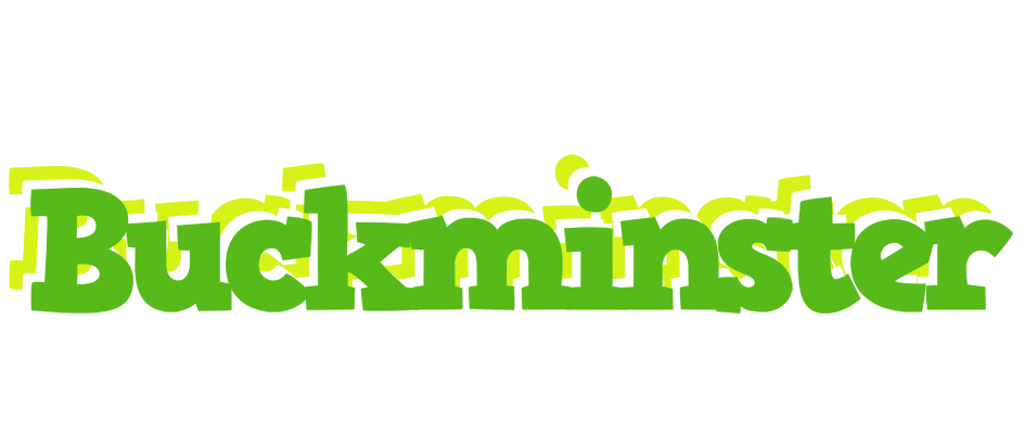 Buckminster picnic logo