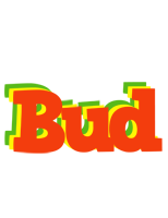 Bud bbq logo