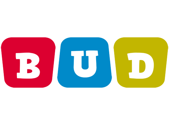 Bud kiddo logo