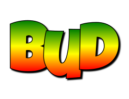 Bud mango logo