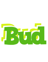 Bud picnic logo