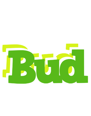 Bud picnic logo