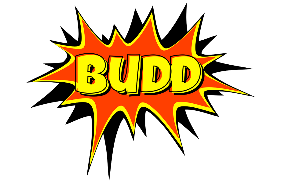 Budd bazinga logo