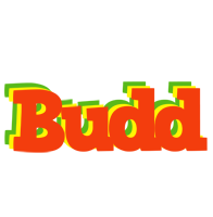 Budd bbq logo