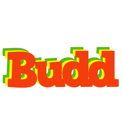 Budd bbq logo