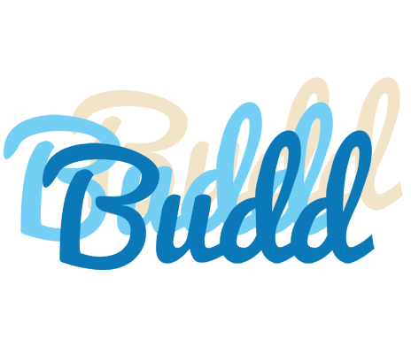 Budd breeze logo