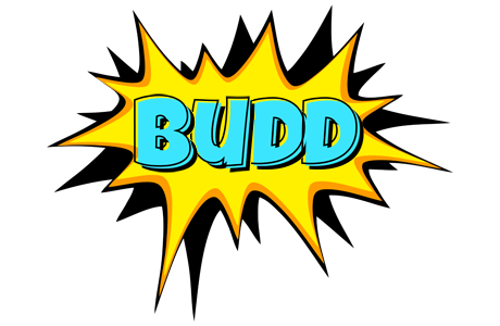 Budd indycar logo