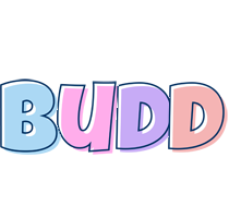 Budd pastel logo