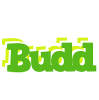 Budd picnic logo