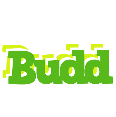 Budd picnic logo