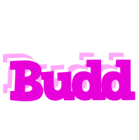 Budd rumba logo