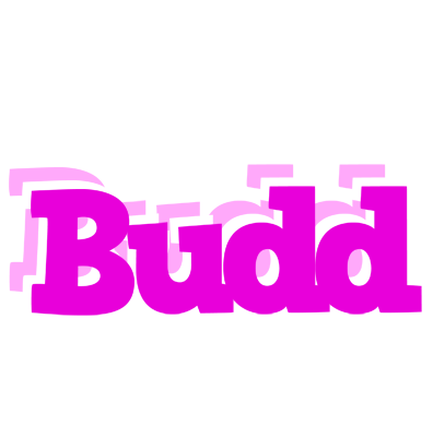 Budd rumba logo
