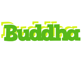Buddha picnic logo