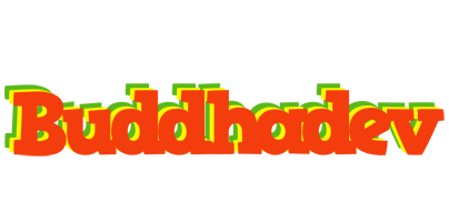 Buddhadev bbq logo